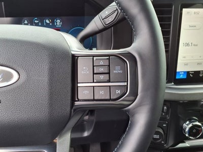 2025 Ford Super Duty F-350 SRW Platinum